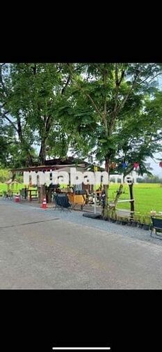 đất nn đa mục đích- gần 1 hec ta