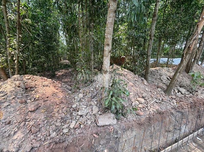 CHÍNH CHỦ BÁN ĐẤT TÂN THÀNH 08 FULL THỔ CƯ(230.7m² – HẺM 7M – GẦN KCN)