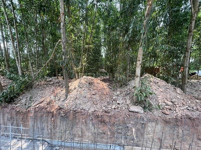 CHÍNH CHỦ BÁN ĐẤT TÂN THÀNH 08 FULL THỔ CƯ(230.7m² – HẺM 7M – GẦN KCN)