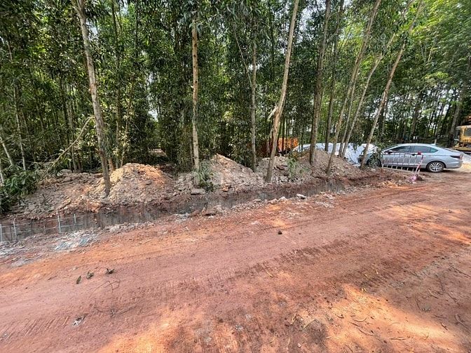 CHÍNH CHỦ BÁN ĐẤT TÂN THÀNH 08 FULL THỔ CƯ(230.7m² – HẺM 7M – GẦN KCN)