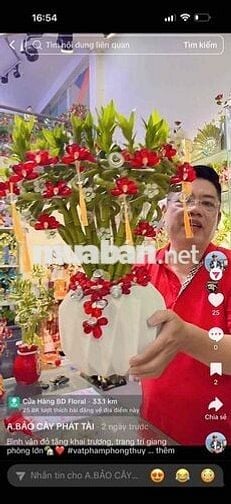 BD FLORIST TUYỂN DỤNG GIA CÔNG CÂY PHÁT TÀI