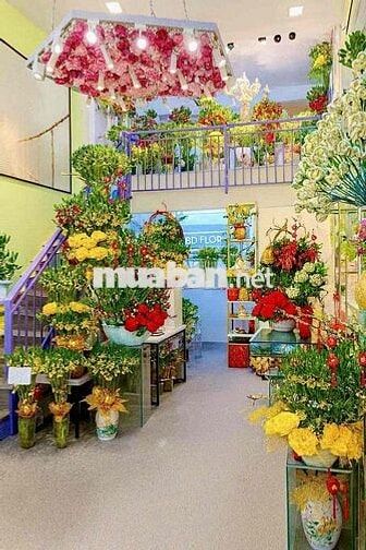 BD FLORIST TUYỂN DỤNG GIA CÔNG CÂY PHÁT TÀI