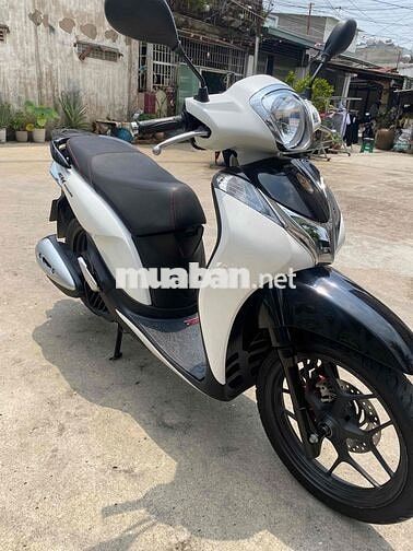 shmo bao công chứng sang tên