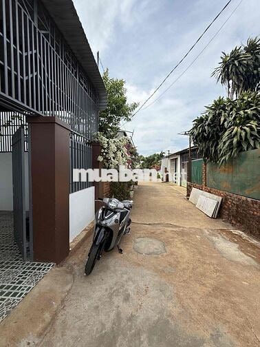 cho thuê nhà nguyên căn khu vực tân lợi