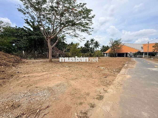 Chỉ 399 triệu sở hữu ngay đất nền mặt tiền Lê lợi trung tâm trà vinh