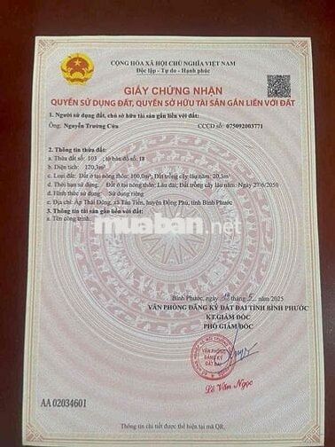 mặt tiền xuyên tâm chính chủ gần tuyến số 3 bằng phẳng