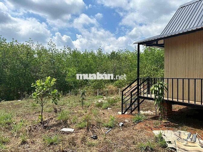 đất vườn giá ngộp cần thanh lý