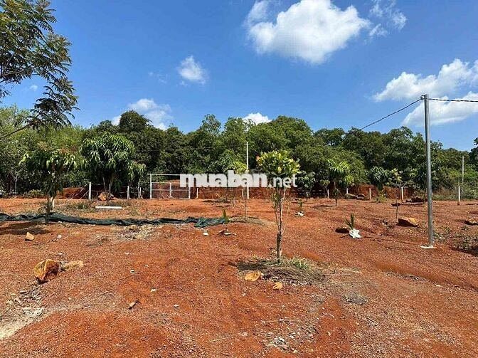 đất vườn giá ngộp cần thanh lý