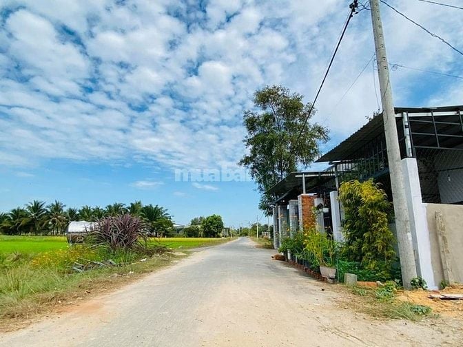 CẦN BÁN GẤP LÔ ĐẤT Ở NGUYỄN VĂN XƠ , THÁI MỸ , CỦ CHI , SỔ HỒNG RIÊNG
