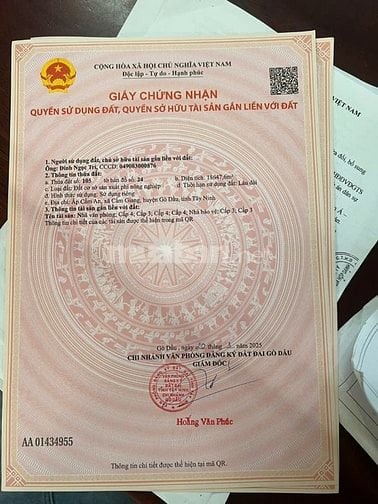 CẦN BÁN KHU XƯỞNG MẶT TIỀN QUỐC LỘ 22B – GÒ DẦU, TÂY NINH