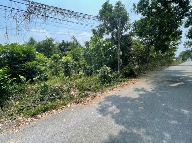 CHÍNH CHỦ BÁN ĐẤT TÂN THÀNH 11 (494.3m² – FULL THỔ CƯ – ĐẤT RỘNG ĐẸP
