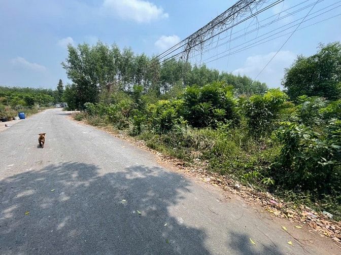 CHÍNH CHỦ BÁN ĐẤT TÂN THÀNH 11 (494.3m² – FULL THỔ CƯ – ĐẤT RỘNG ĐẸP
