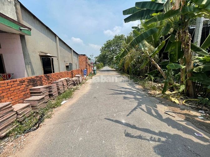 CHÍNH CHỦ BÁN ĐẤT TÂN THÀNH 11 (494.3m² – FULL THỔ CƯ – ĐẤT RỘNG ĐẸP