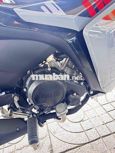 Ex 155 2022 xám xi măng cực hót