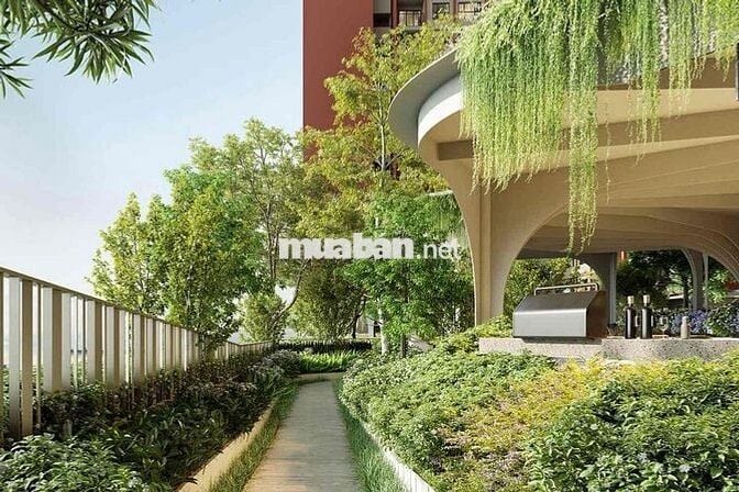 CHÍNH CHỦ NHƯỢNG LẠI CẶP CĂN LIỀN KỀ SYCAMORE ORCHARD HEIGHTS
