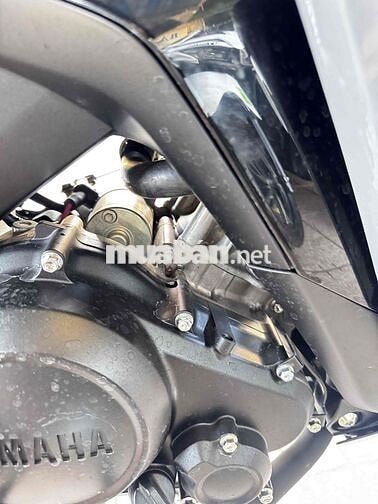 Ex 155 2022 xám xi măng cực hót