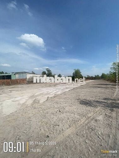 Đất 2 Mặt Tiền Tân Phước - TP.HCM full thổ cư 5x25