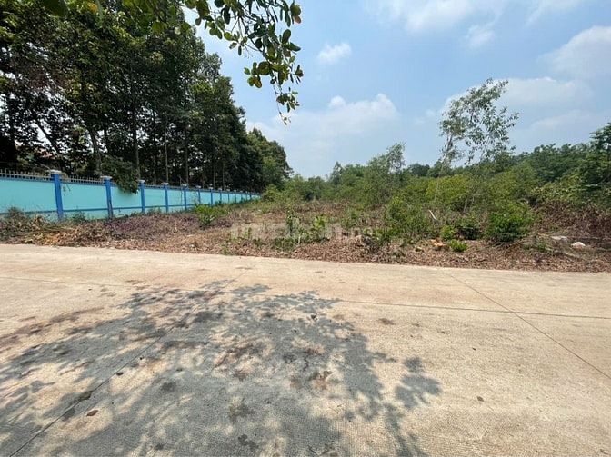 CHÍNH CHỦ BÁN ĐẤT TÂN THÀNH 30 FULL THỔ CƯ (359.9m² – GẦN KCN) 