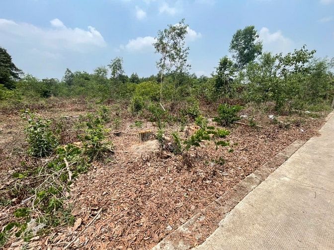 CHÍNH CHỦ BÁN ĐẤT TÂN THÀNH 30 FULL THỔ CƯ (359.9m² – GẦN KCN) 