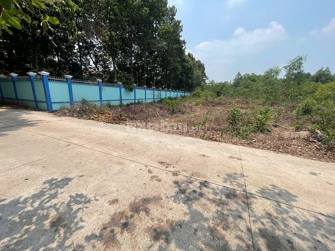 CHÍNH CHỦ BÁN ĐẤT TÂN THÀNH 30 FULL THỔ CƯ (359.9m² – GẦN KCN) 