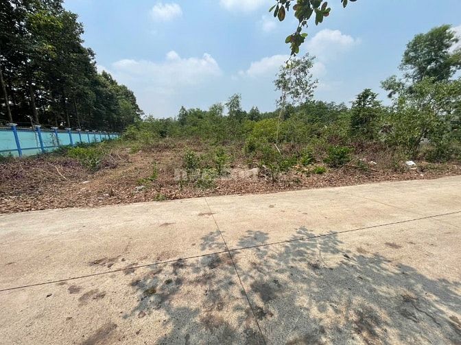 CHÍNH CHỦ BÁN ĐẤT TÂN THÀNH 30 FULL THỔ CƯ (359.9m² – GẦN KCN) 