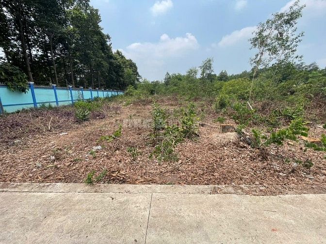 CHÍNH CHỦ BÁN ĐẤT TÂN THÀNH 30 FULL THỔ CƯ (359.9m² – GẦN KCN) 