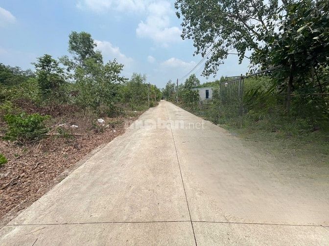 CHÍNH CHỦ BÁN ĐẤT TÂN THÀNH 30 FULL THỔ CƯ (359.9m² – GẦN KCN) 