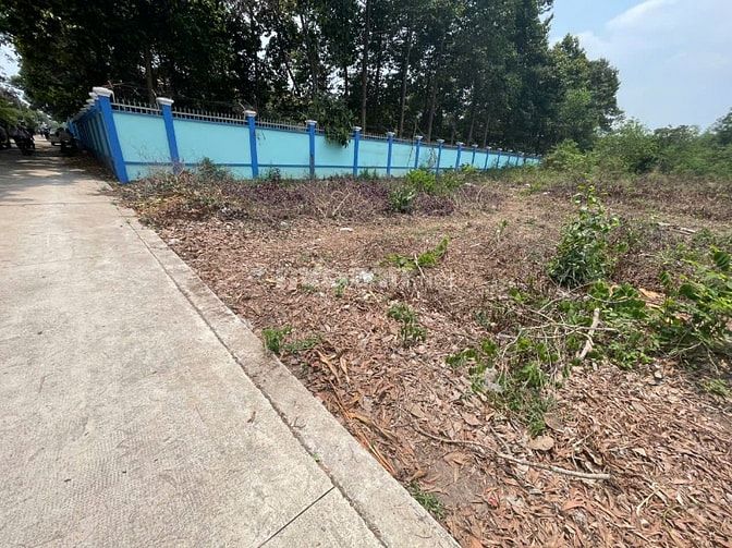 CHÍNH CHỦ BÁN ĐẤT TÂN THÀNH 30 FULL THỔ CƯ (359.9m² – GẦN KCN) 