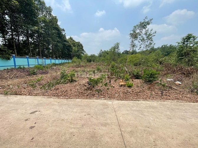 CHÍNH CHỦ BÁN ĐẤT TÂN THÀNH 30 FULL THỔ CƯ (359.9m² – GẦN KCN) 