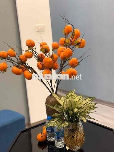 Tập thể Hồng Mai, 2 thoáng, nội thất đẹp, sát chợ, ở ngay