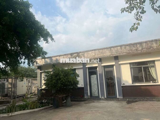 xưởng cho thuê ngoài KCN ĐỨC HÒA LONG AN giá tốt