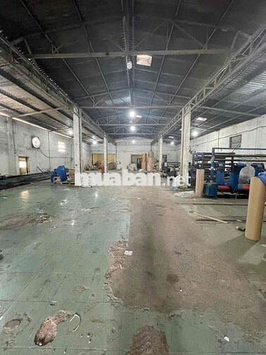 Xưởng chính chủ cần cho thuê Hóc Môn