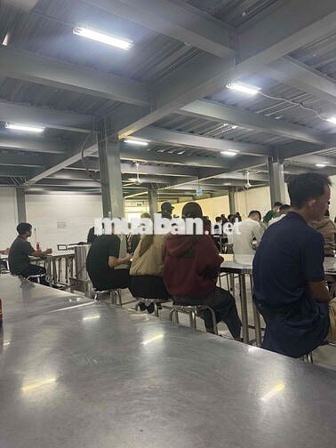 đi làm đc bao cơm thương 3tr khi làm 3 tháng