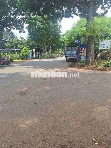 Chủ ngộp ngân hàng bán nhanh lô đất đường 15 Hòa Long 257m2/1ty6