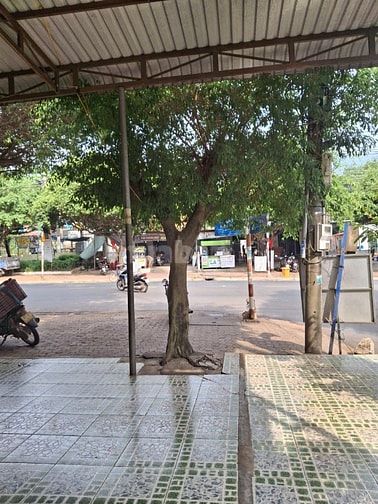 Cho thuê mặt bằng kinh doanh Xuân Lộc