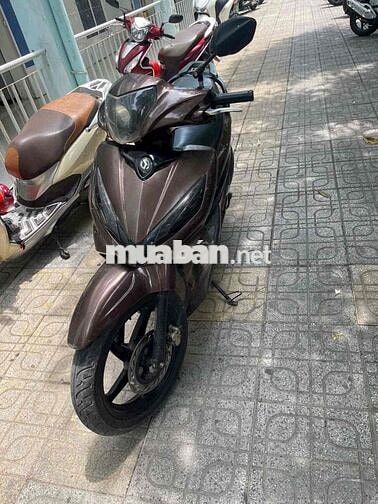 SYM Shark Nâu Thể thao