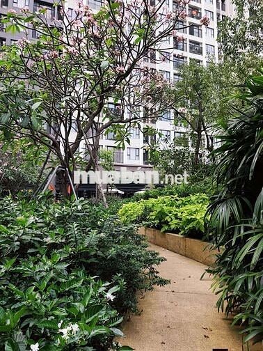 GIÁ THẬT HAY! 3.2 TỶ SỞ HỮU CĂN 2PN 58M² THÁP C2 FULL BẾP RÈM ✨