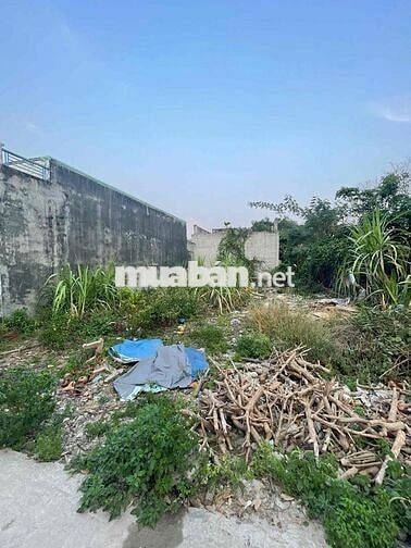 Bán đất thổ cư toàn bộ 43,5m2 315tr còn thương lượng