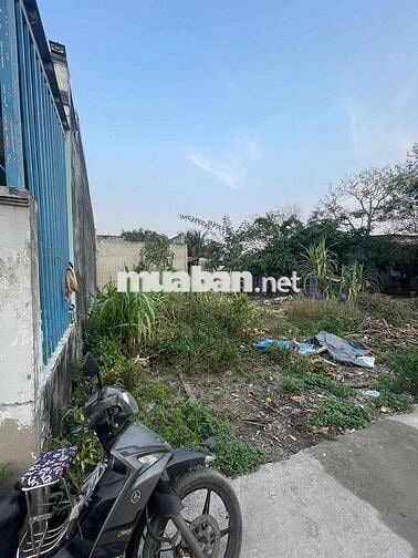 Bán đất thổ cư toàn bộ 43,5m2 315tr còn thương lượng