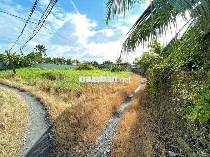 Đất ngộp vị trí cực đẹp cần bán