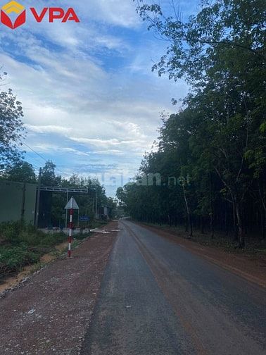 Thông báo đấu giá tài sản của Ông Nguyễn Công Tường (tỉnh Đồng Nai)