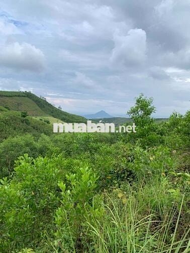Diện tích đất 24000m2-mặt tiền ĐT643 gần sân bay Tuy hòa