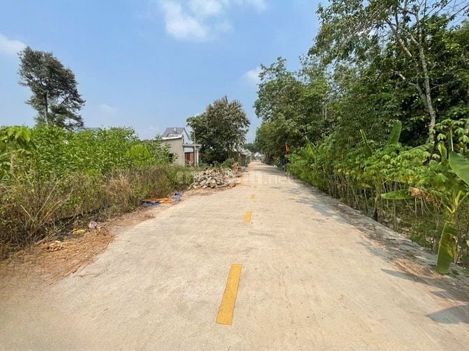 CHÍNH CHỦ BÁN ĐẤT TÂN THÀNH 56 FULL THỔ CƯ (708.5m² – NGANG 12M)