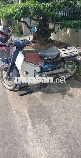 Honda Cub 82 Xanh trắng