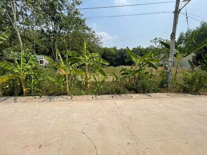 CHÍNH CHỦ BÁN ĐẤT TÂN THÀNH 56 FULL THỔ CƯ (708.5m² – NGANG 12M)