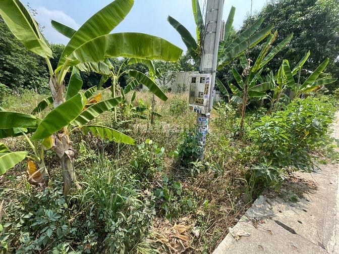CHÍNH CHỦ BÁN ĐẤT TÂN THÀNH 56 FULL THỔ CƯ (708.5m² – NGANG 12M)