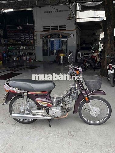 Honda Super Dream 2004 Tím