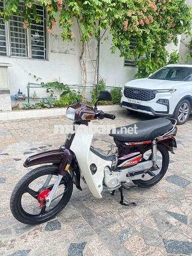 xe dream sanda bos