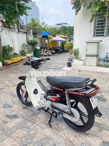 xe dream sanda bos