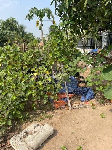 🔥 CHÍNH CHỦ BÁN ĐẤT TÂN ĐỊNH 16 (283.1m² – NGANG 6M – FULL THỔ CƯ)